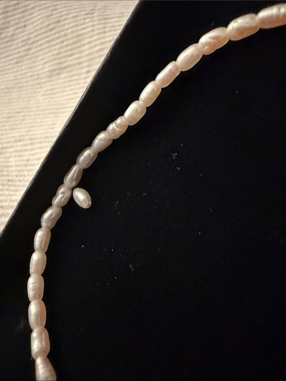 Catbird Pearl Buffet Bracelet S/M Emily Levine Milan x CATBIRD PEARL BRACELET